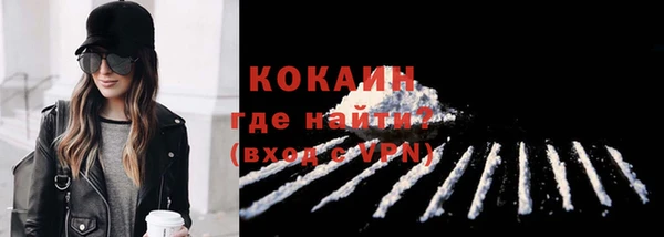 mdpv Богородицк