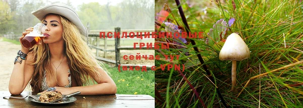 хмурый Богданович