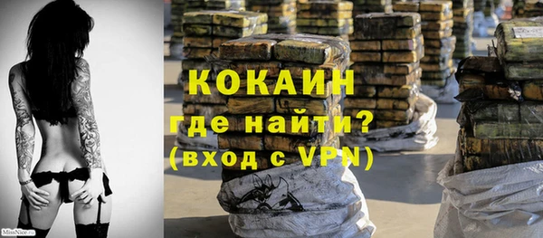 mdpv Богородицк