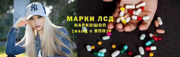 mdpv Богородицк