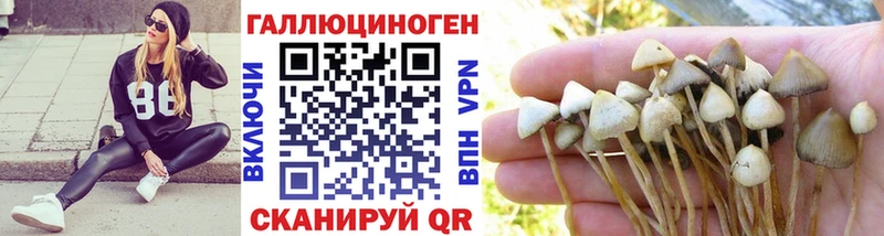 Галлюциногенные грибы GOLDEN TEACHER  Венёв 